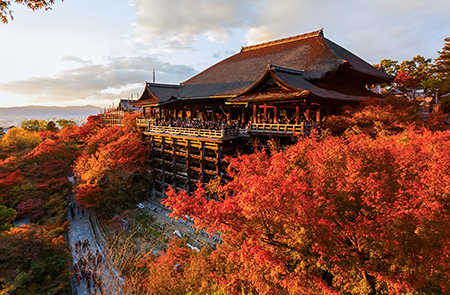 Momiji - Herbstliches Japan