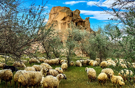 Kappadokien - Im Herzen Anatoliens